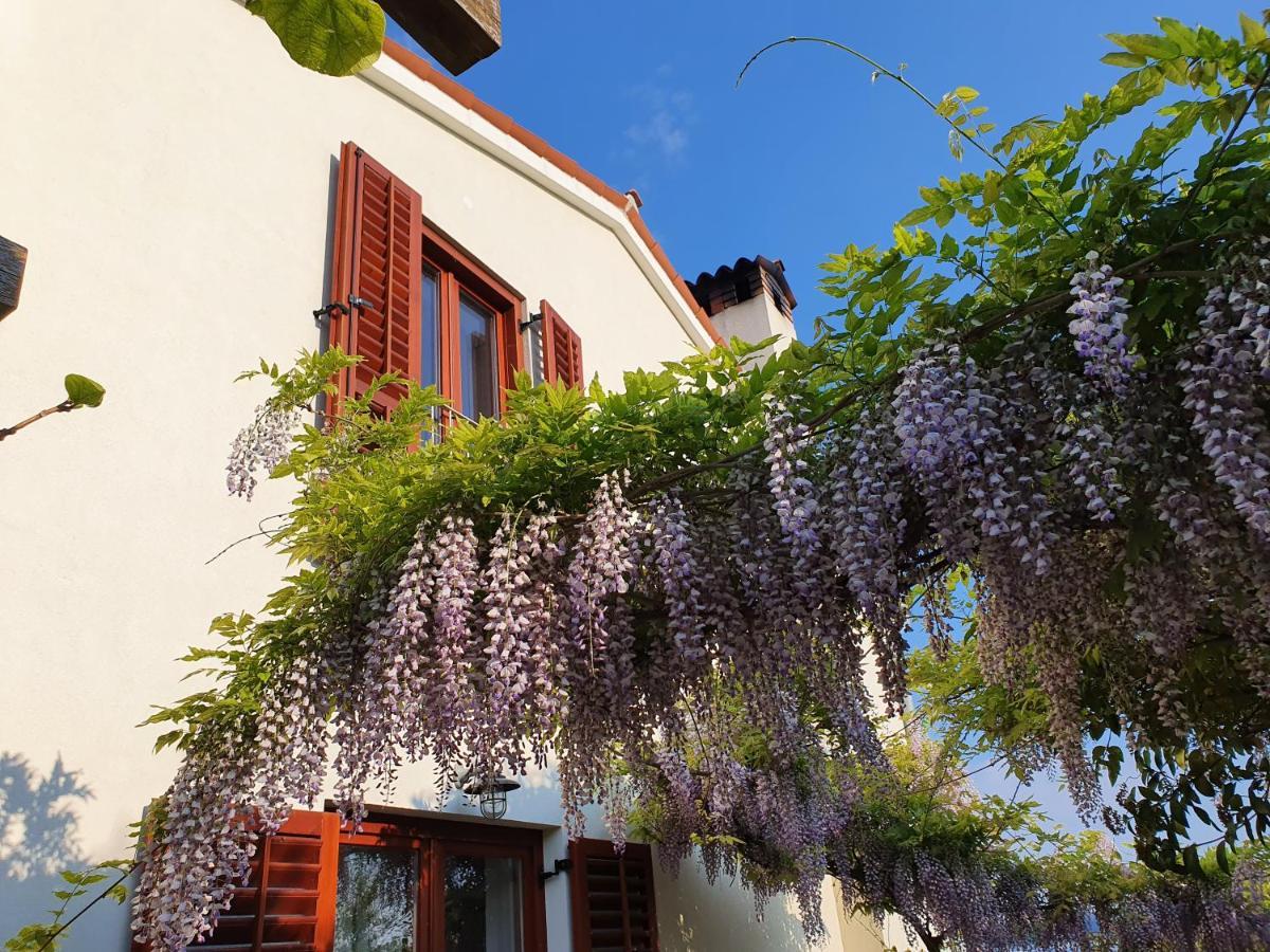 Vila Rosa Portoroz Exterior foto